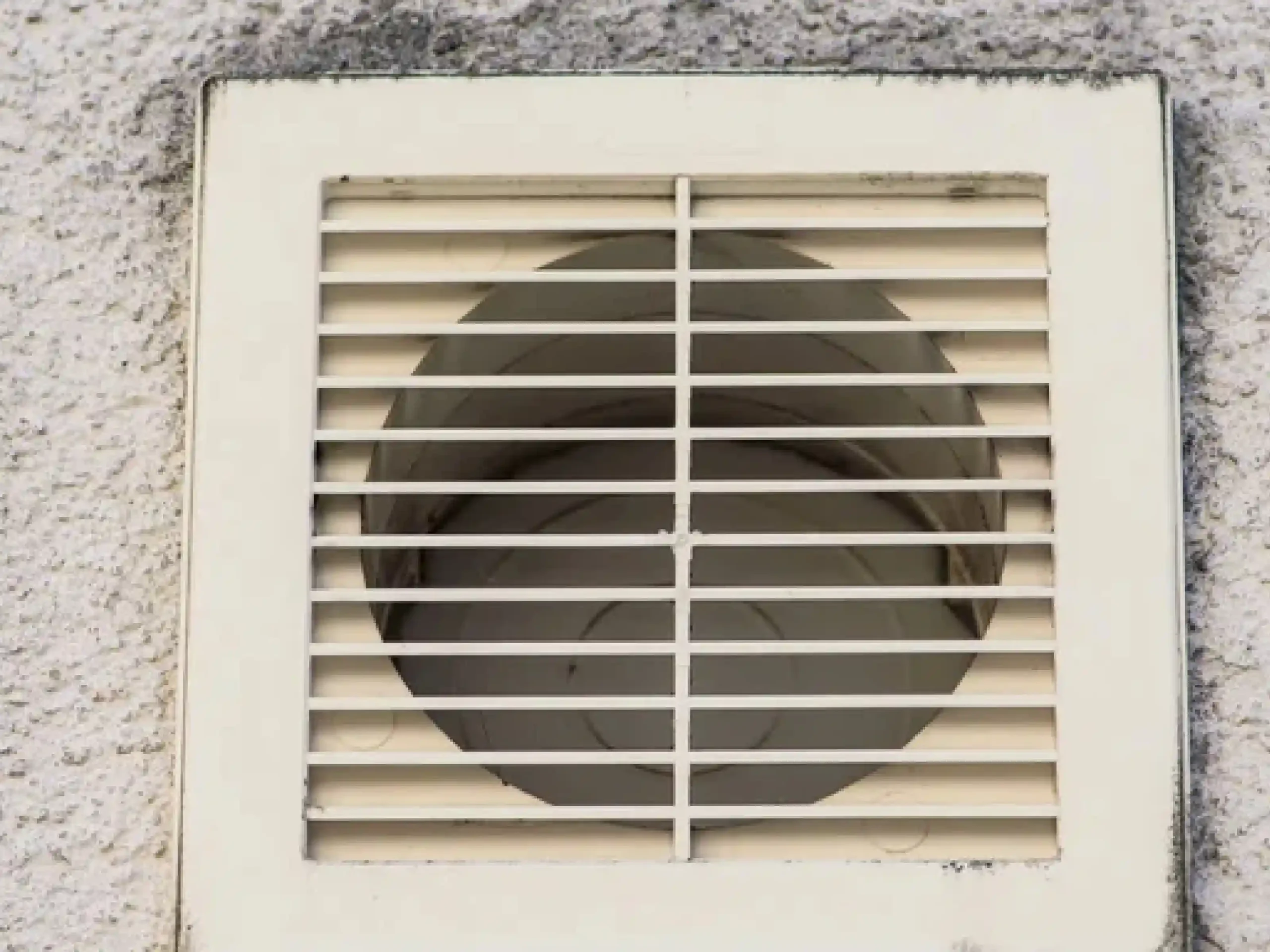 Professional pest guard installation to prevent rodents and pests from entering your dryer vent.